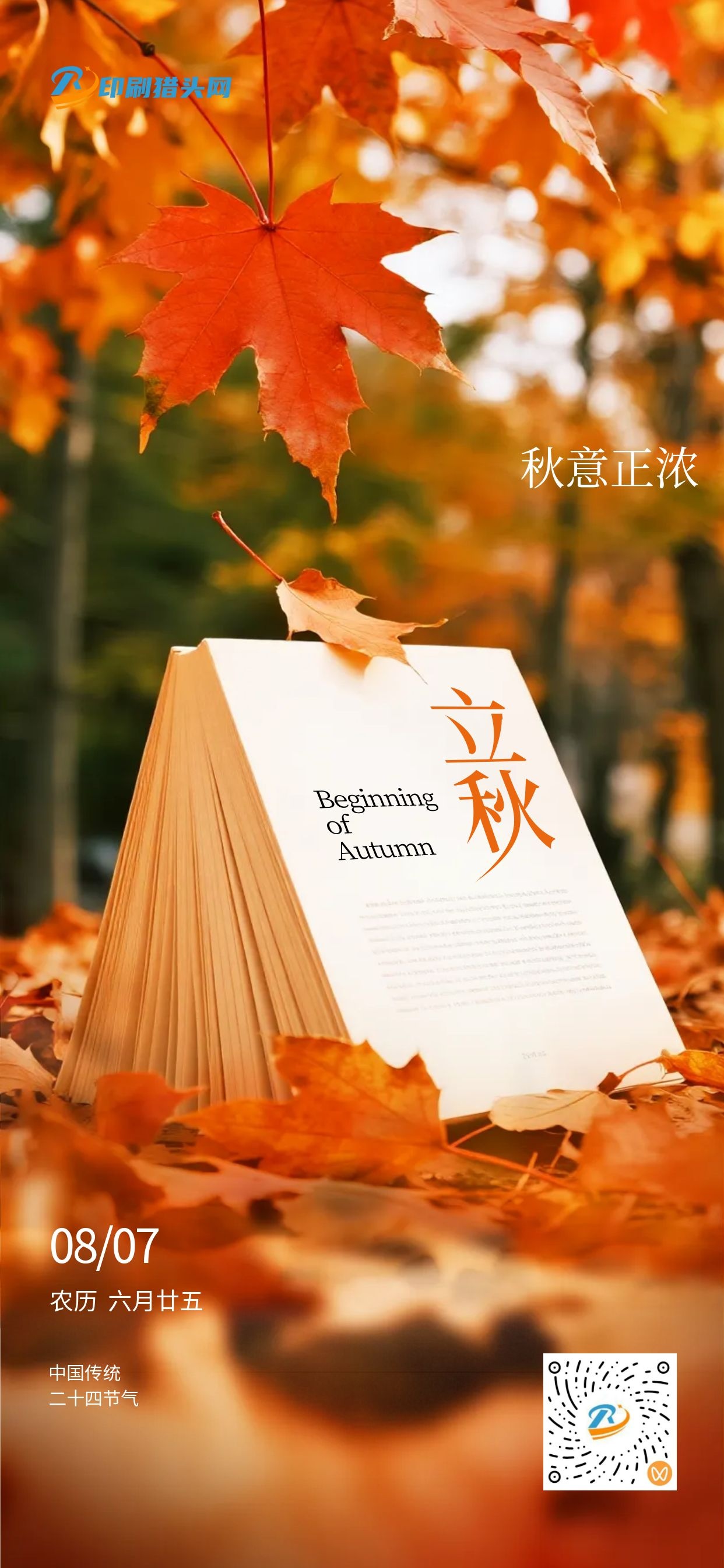 今日立秋(图5)